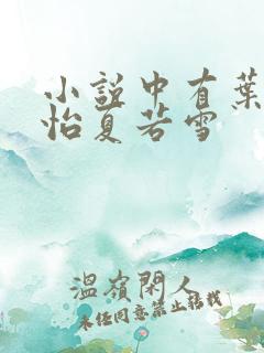 小说中有叶辰孙怡夏若雪