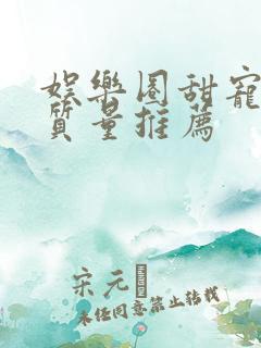 娱乐圈甜宠文高质量推荐