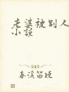 老婆被别人操的小说