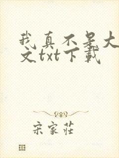 我真不是大佬全文txt下载