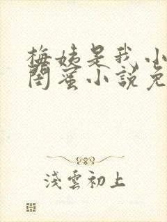 梅姨是我小妈的闺蜜小说免费阅读全文