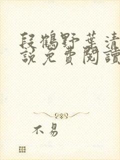 段鹤野叶清璃小说免费阅读最新章节