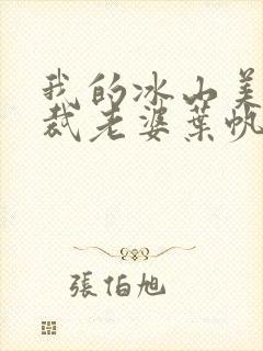 我的冰山美人总裁老婆叶帆