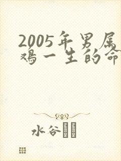 2005年男属鸡一生的命运怎样