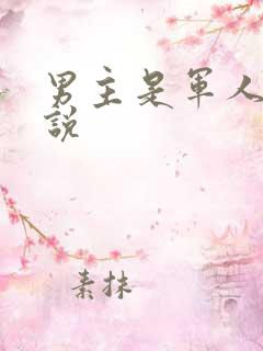 男主是军人的小说