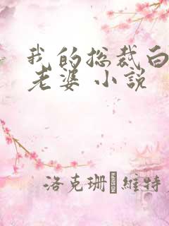 我的总裁白富美老婆 小说