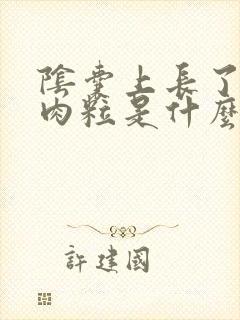 阴囊上长了个小肉粒是什么原因