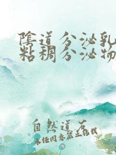 阴道分泌乳白色粘稠分泌物