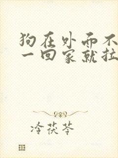 狗在外面不拉屎一回家就拉尿怎么办