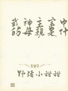 武神主宰中秦尘的母亲是什么修为