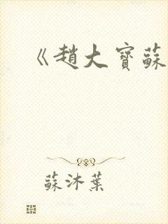 《赵大宝苏媚》