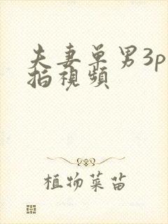 夫妻单男3p自拍视频