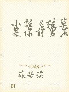 小说《校草居然是你前男友》