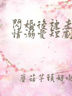 闪婚后被老公深情溺爱短剧全集播放