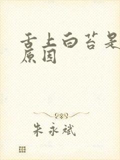 舌上白苔是什么原因