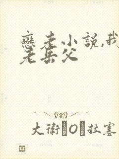 恋老小说,我和老岳父