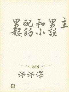 男配和男主在一起的小说