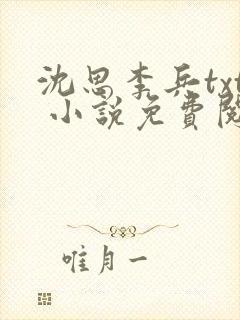 沈思李兵txt 小说免费阅读