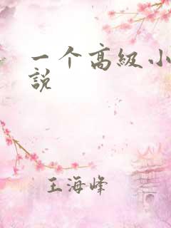 一个高级小姐小说