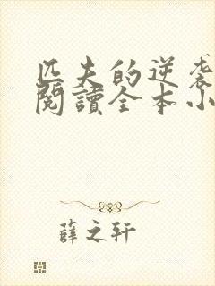 匹夫的逆袭免费阅读全本小说