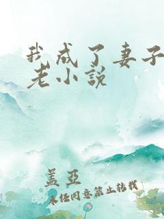 我成了妻子的月老小说