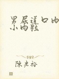 男尿道口内侧长小肉粒