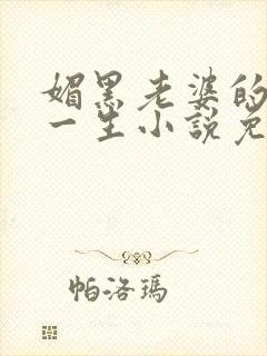 媚黑老婆的下贱一生小说免费阅读