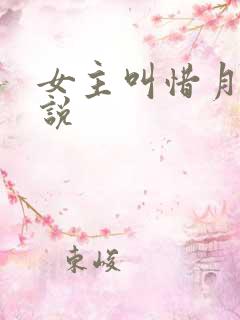 女主叫惜月的小说