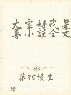 大家好我是林小喜小说全文