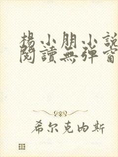 杨小朋小说免费阅读无弹窗