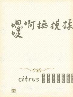 嗯啊抚摸揉捏吮吸