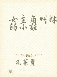 女主角叫林星阑的小说