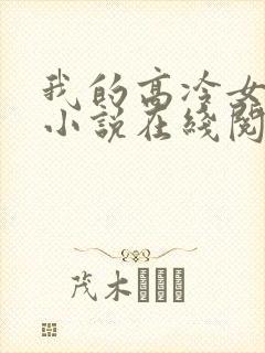 我的高冷女总裁小说在线阅读