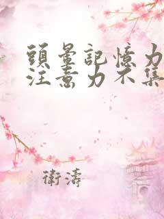 头晕记忆力减退注意力不集中