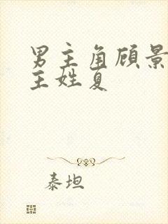 男主角顾景琛女主姓夏