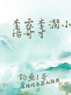 李霖李澜小说官场奇才