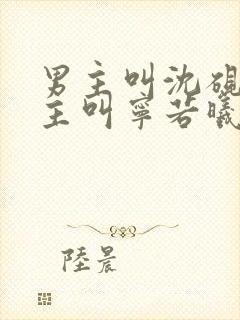 男主叫沈砚舟女主叫宁若曦的小说