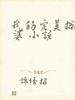 我的完美总裁老婆 小说