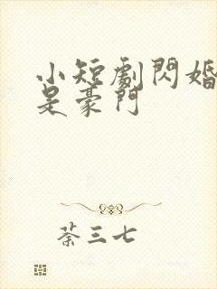 小短剧闪婚老公是豪门