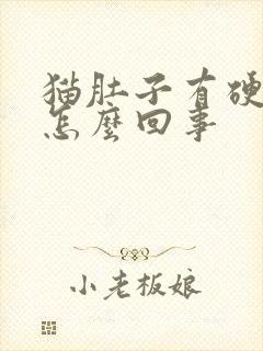 猫肚子有硬块是怎么回事