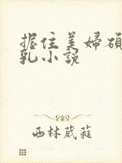 握住美妇硕大双乳小说