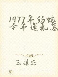 1977年的蛇今年运气怎么样