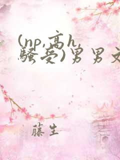 (np,高h,骚受)男男文