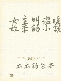 女主叫温暖男主姓季的小说