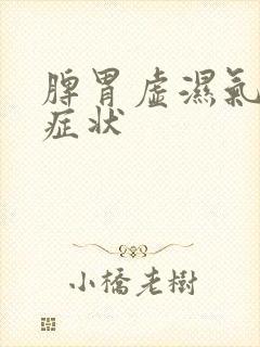 脾胃虚湿气重的症状