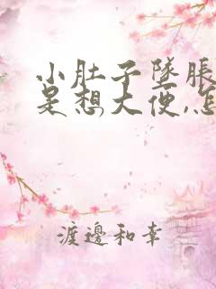 小肚子坠胀,老是想大便,怎么办啊