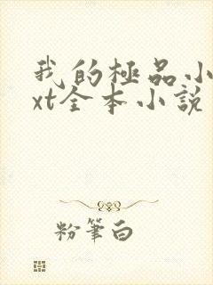 我的极品小姨txt全本小说