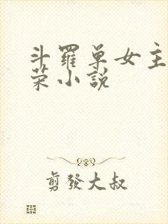 斗罗单女主宁荣荣小说