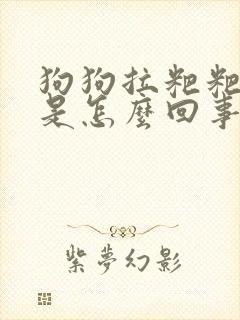 狗狗拉粑粑带血是怎么回事