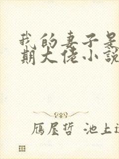 我的妻子是大乘期大佬小说版